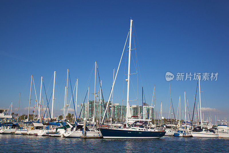 大蓝色帆船在Marina Del Rey加利福尼亚阳光